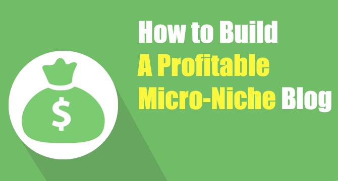 How to Built A Micro Niche Site Earning $100 per Month from AdSense
